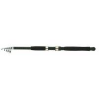 10 ft Telescopic Rod Only 66cm!